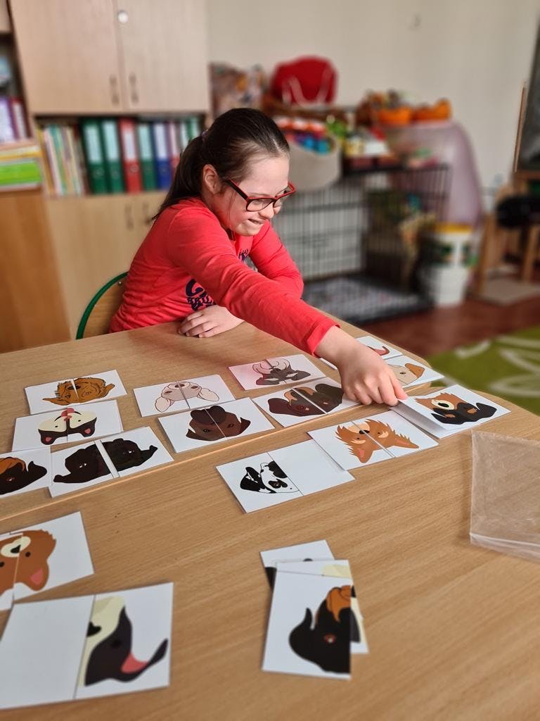 „Przyjazna przystań” | Dziewczynka w czerwonej koszulce układa puzzle z wizerunkiem psów .jpeg