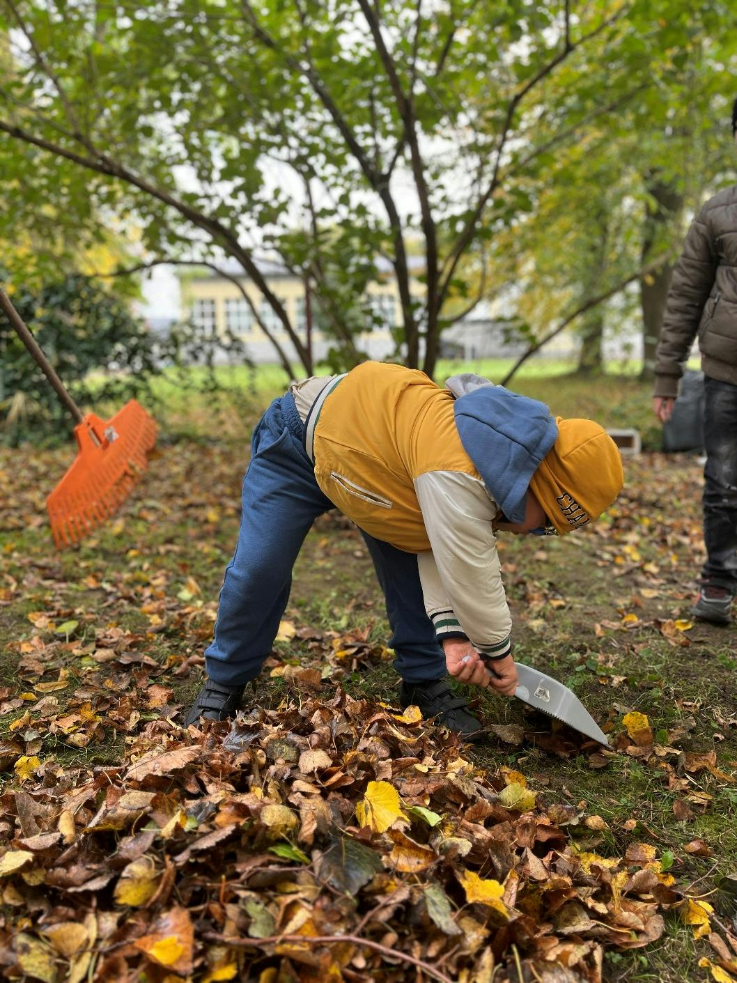 Jesienne prace w ogrodzie | Chłopioec zbiera liście w ogrodzie.jpeg