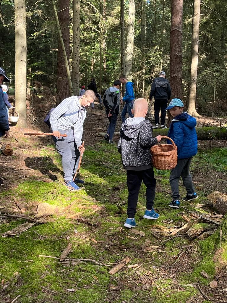 W rezerwacie przyrody Jedlina | dzieci chodzą po lesie i zbierają grzyby.jpg