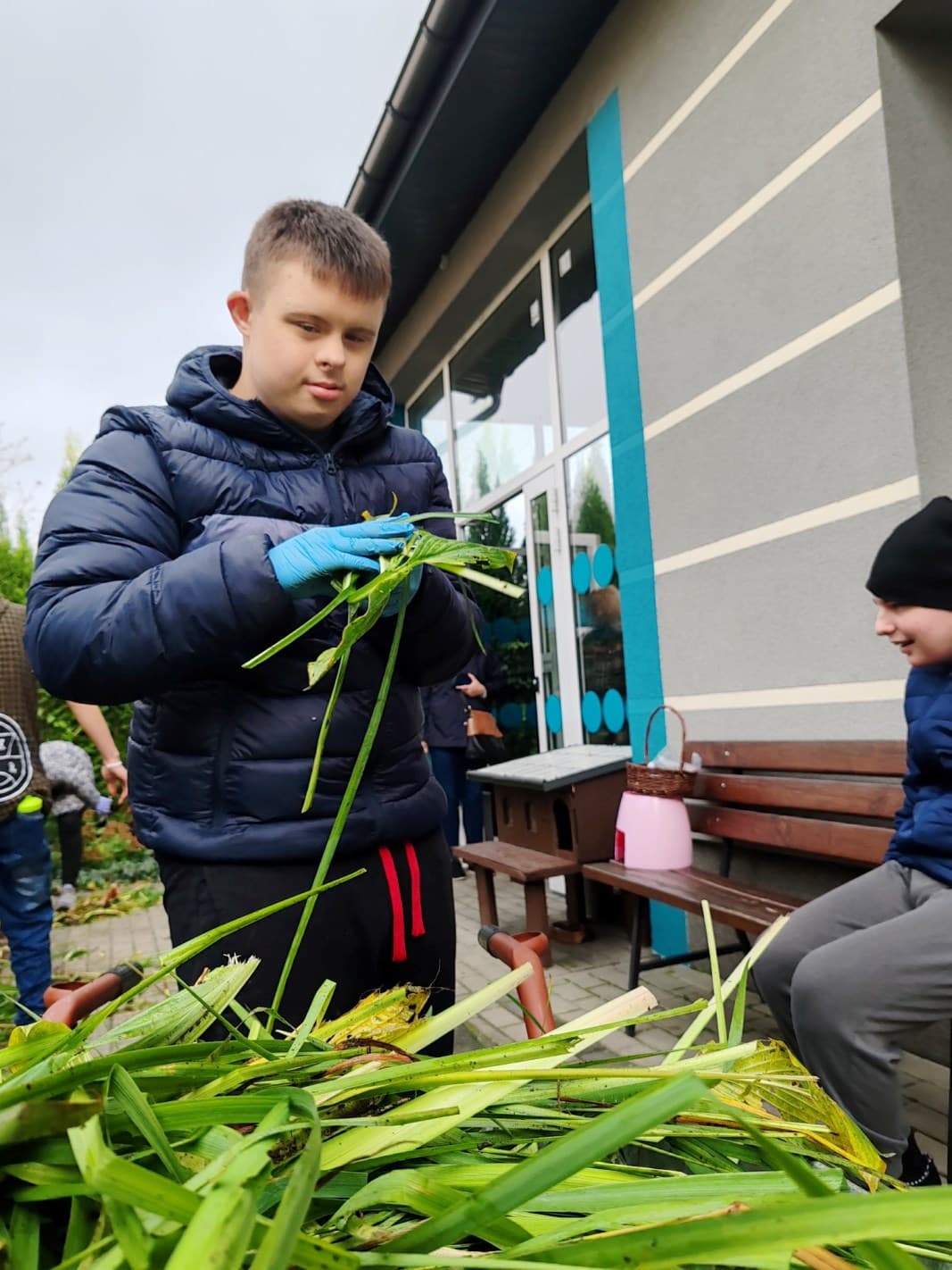 Jesienne prace w ogrodzie | Uczeń rzuca na taczki trawę.jpg